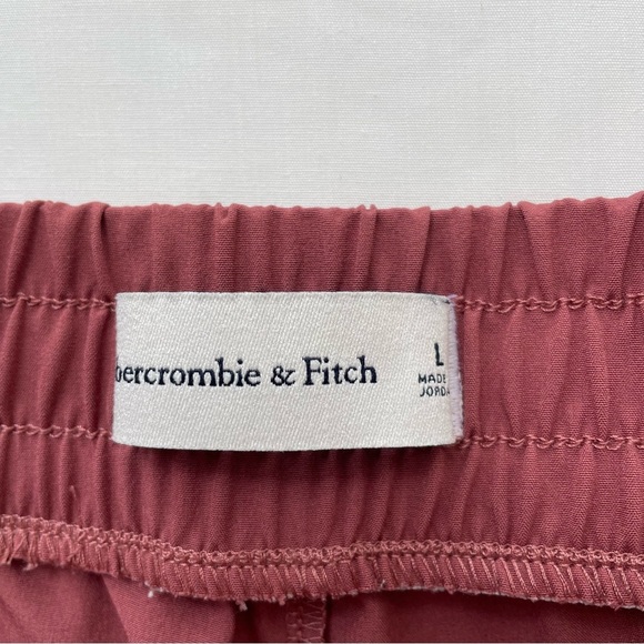 Abercrombie & Fitch Traveler Front Seam Pants Large - Picture 7 of 8